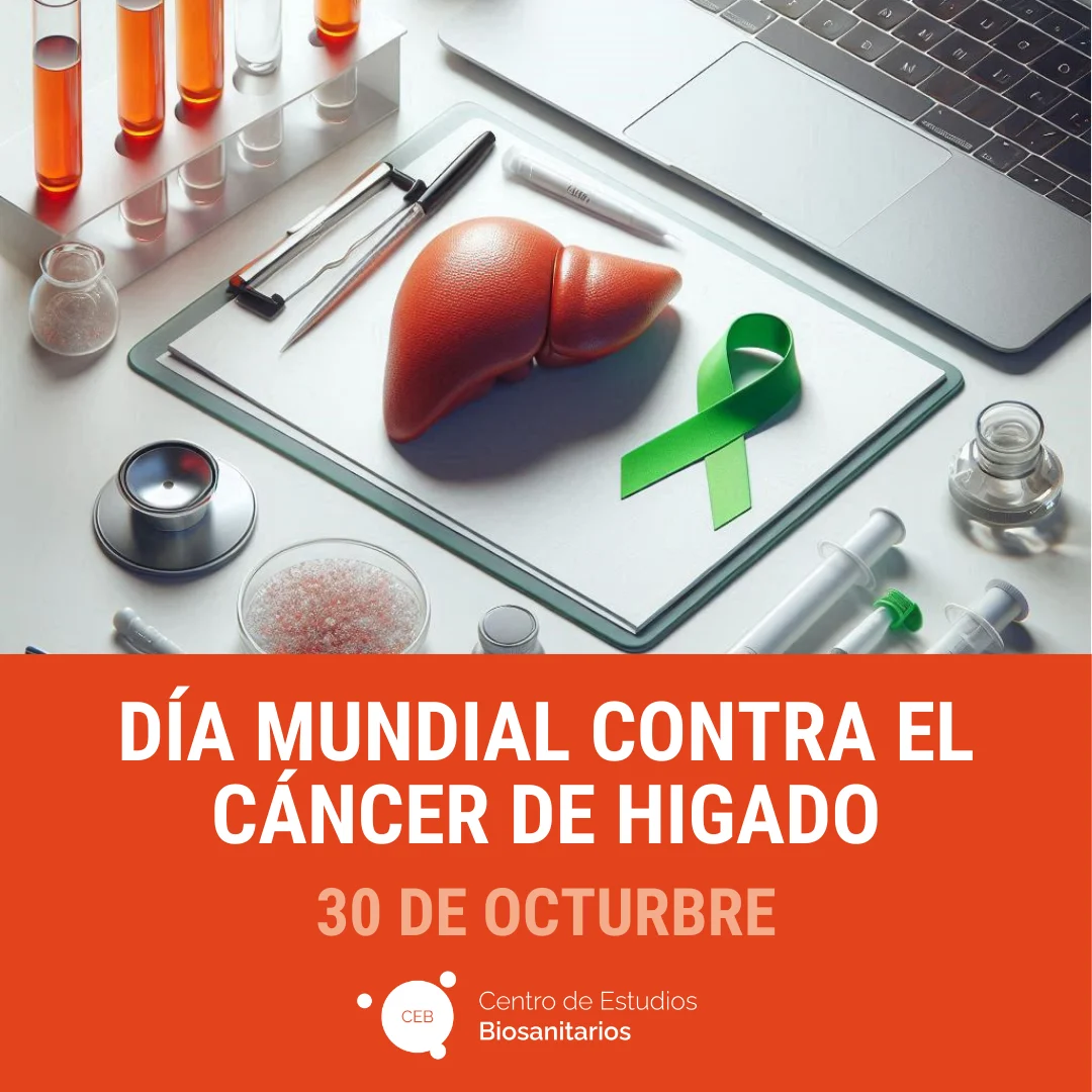 Dia Cancer Higado