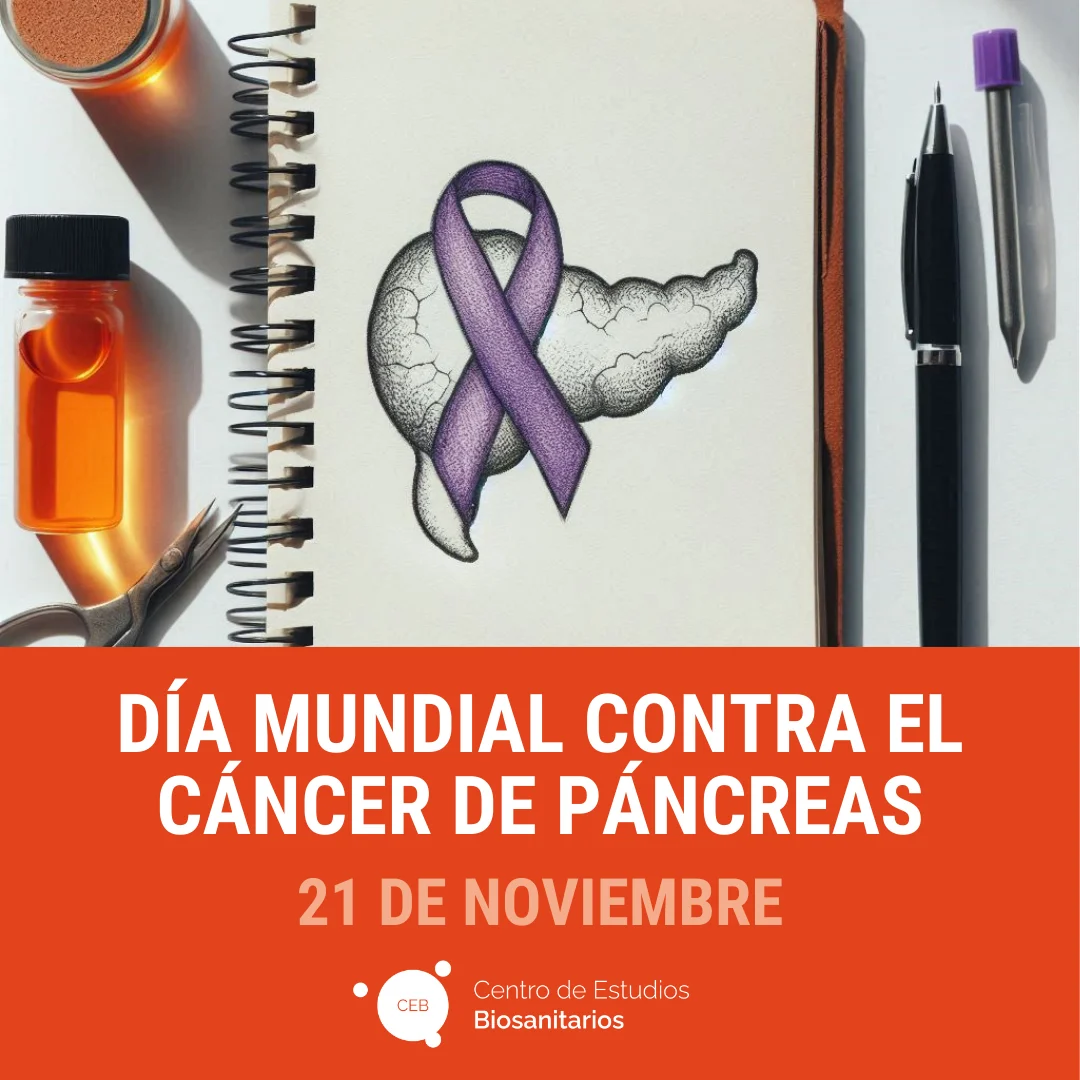 Dia Cancer Pancreas